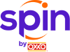 Spin